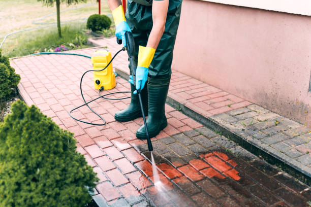 Best Best Pressure Washing Companies  in Leupp, AZ