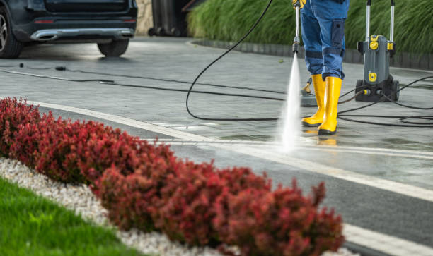 Best Roof Power Washing Services  in Leupp, AZ