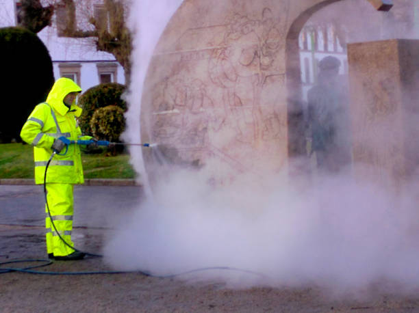 Best Roof Pressure Washing  in Leupp, AZ